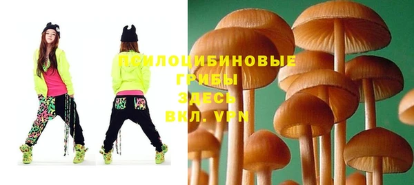MDMA Premium VHQ Богородицк