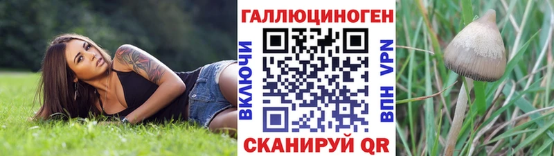 где можно купить   Сковородино  Галлюциногенные грибы Magic Shrooms 